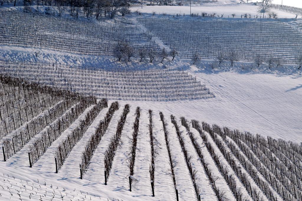 Cascina Arcangelo Raffaele 베르두노 외부 사진