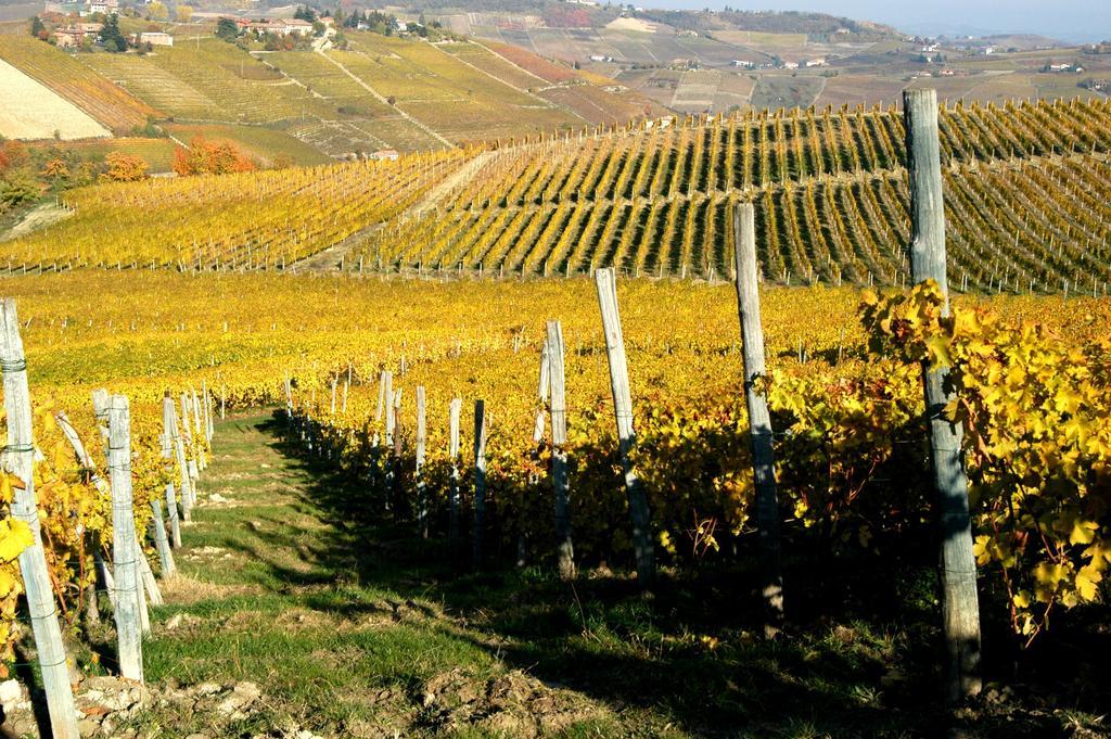 Cascina Arcangelo Raffaele 베르두노 외부 사진